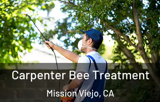  Carpenter Bee Treatment Mission Viejo, CA
