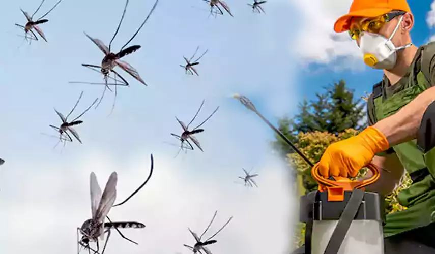 Mosquito Pest Control in Mission Viejo, CA
