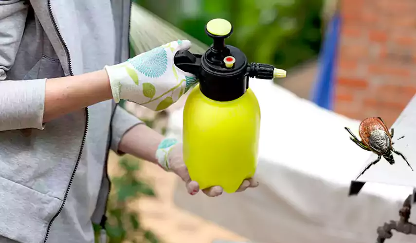 Ticks Pest Control Mission Viejo, California