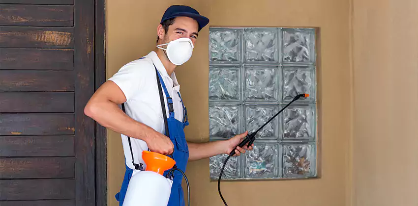 Bee Control for Bedrooms Mission Viejo, CA