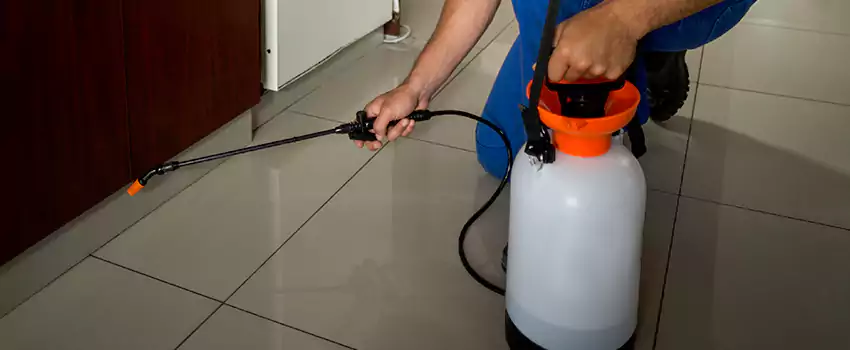 Prevent Future Roach Infestations Mission Viejo, CA