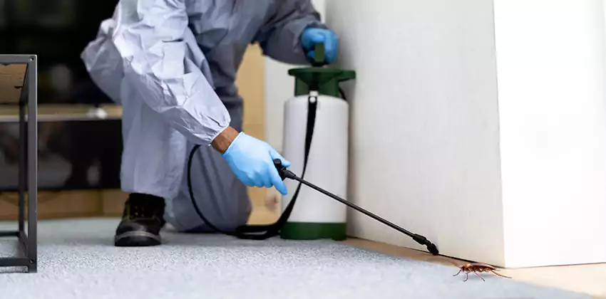 Commercial Pest Control for Offices in Mission Viejo, CA