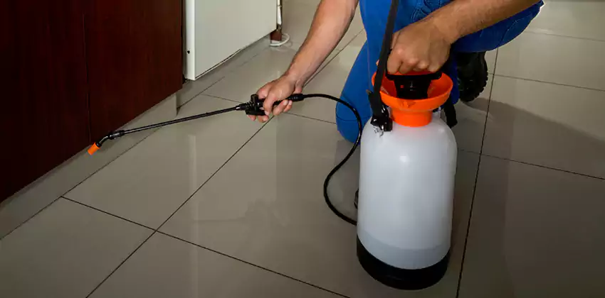 Commercial Pest Extermination for Offices in Mission Viejo, CA