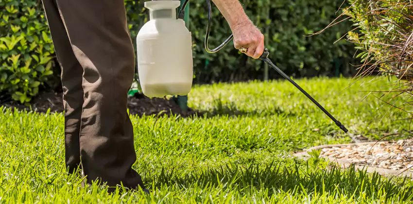 Grub Treatment for Bedrooms Mission Viejo, CA