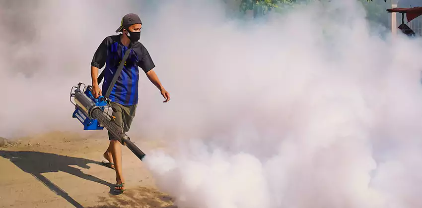 Bedrooms Mosquito Extermination in Mission Viejo, CA