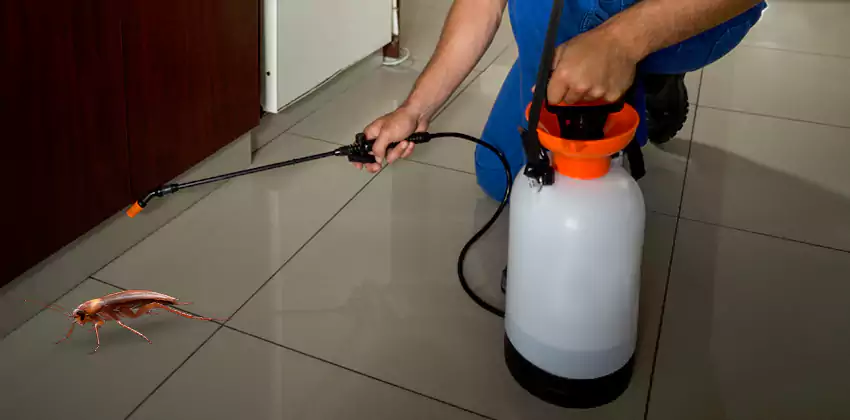 Exclusion and Sanitation Consultation in Mission Viejo, CA