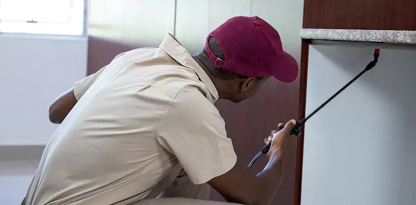 Children and pets extermination of termites Mission Viejo, CA