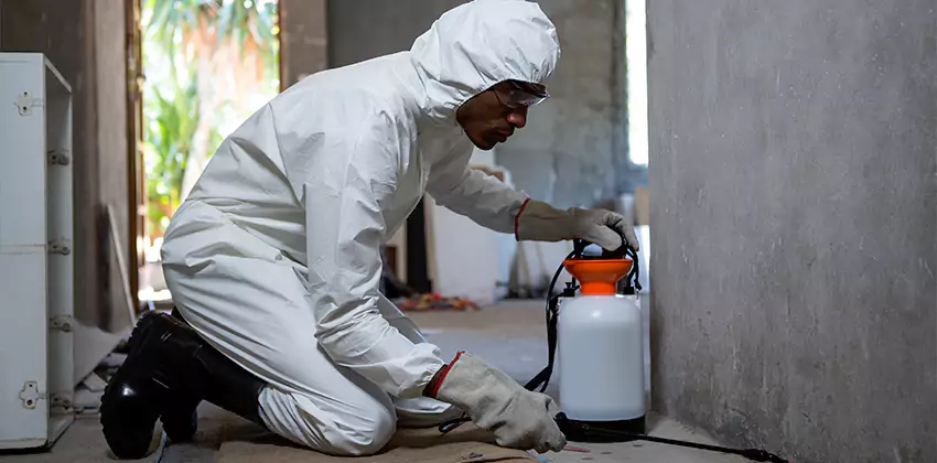 Termite Inspection for Bedrooms Mission Viejo, CA