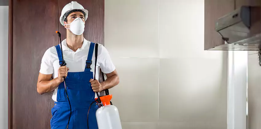 commercial-pest-control in Mission Viejo, CA