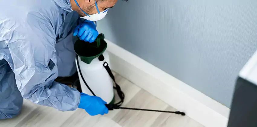 commercial-pest-exterminator in Mission Viejo, CA