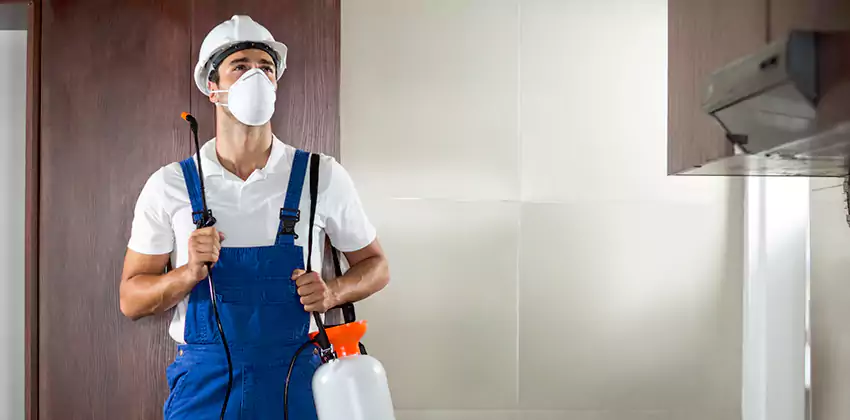 pest-inspection in Mission Viejo, CA