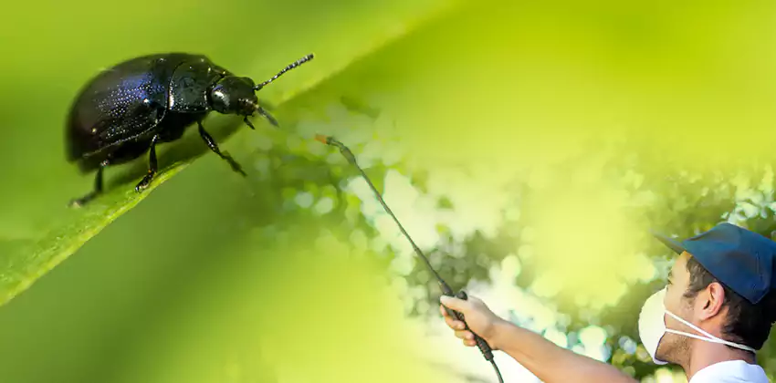 tick-control in Mission Viejo, CA