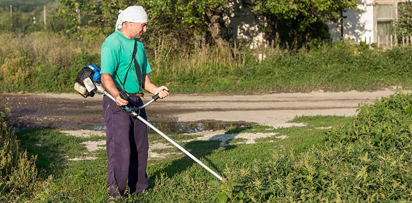 tick-treatment-for-yard in Mission Viejo, CA