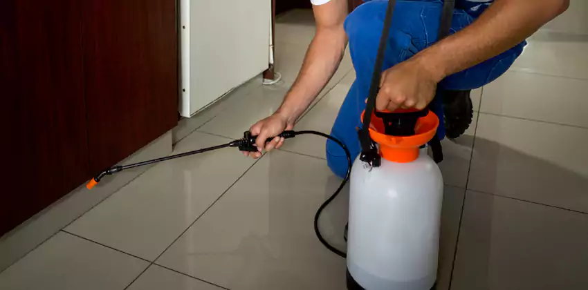 Pest Exterminator Company in Mission Viejo, CA
