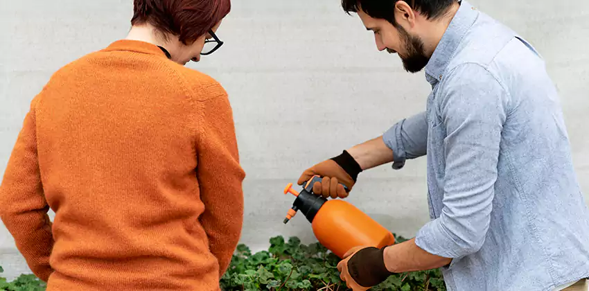 whitefly-treatment in Mission Viejo, CA