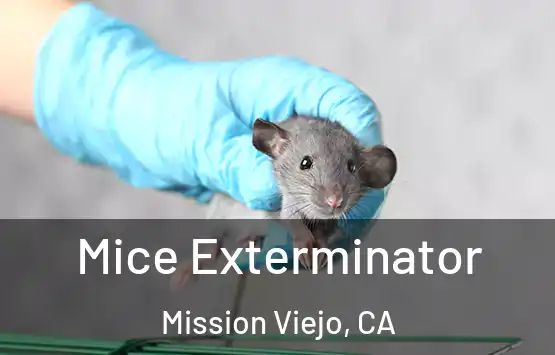  Mice Exterminator Mission Viejo, CA