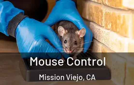 Mouse Control Mission Viejo, CA