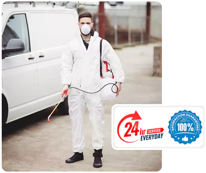 About Carpenter Bee Treatment Mission Viejo