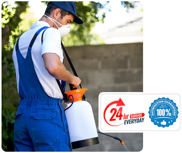 About Emergency Exterminator Mission Viejo