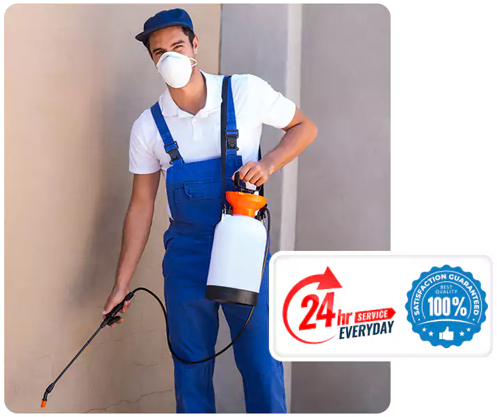 About Flea Exterminator Mission Viejo