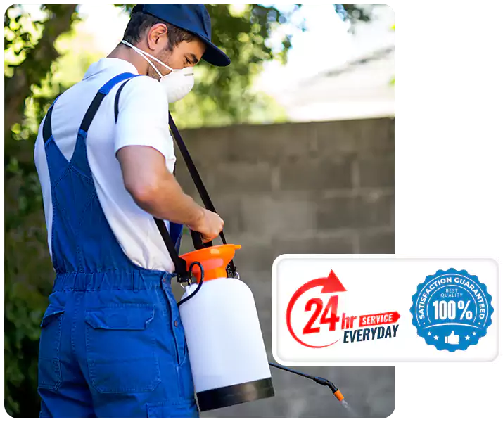 About Pest Exterminator Mission Viejo
