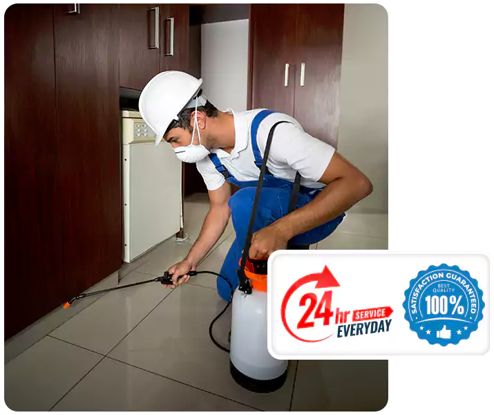 About Termite Treatment Mission Viejo